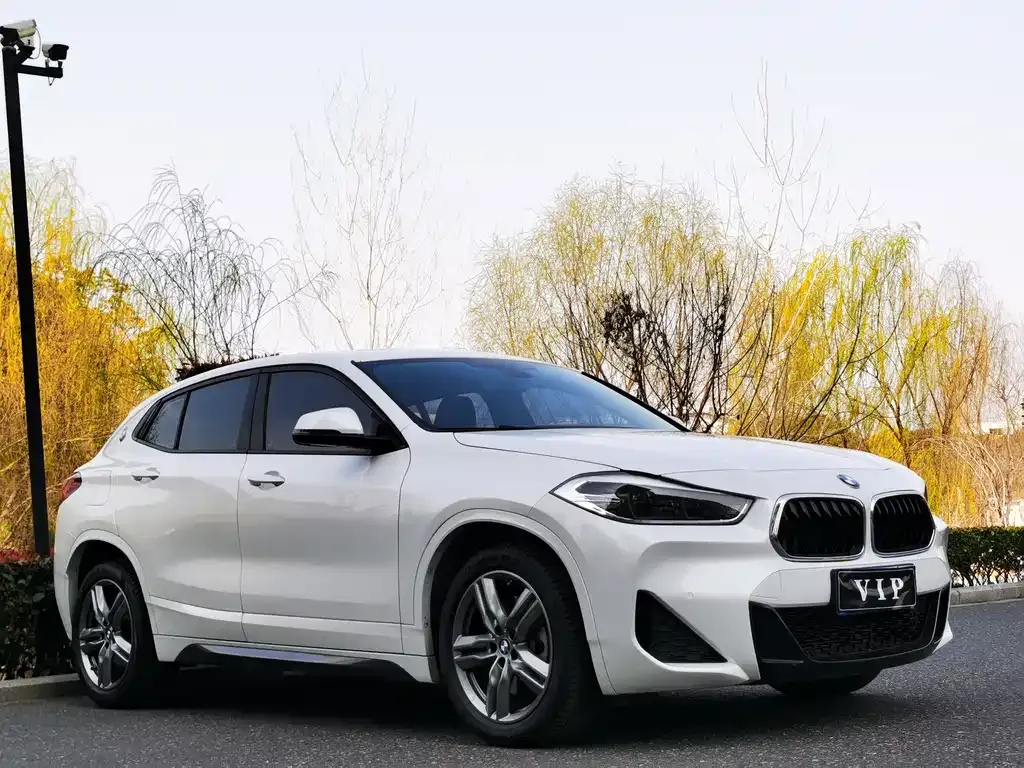BMW X2 — фото 6