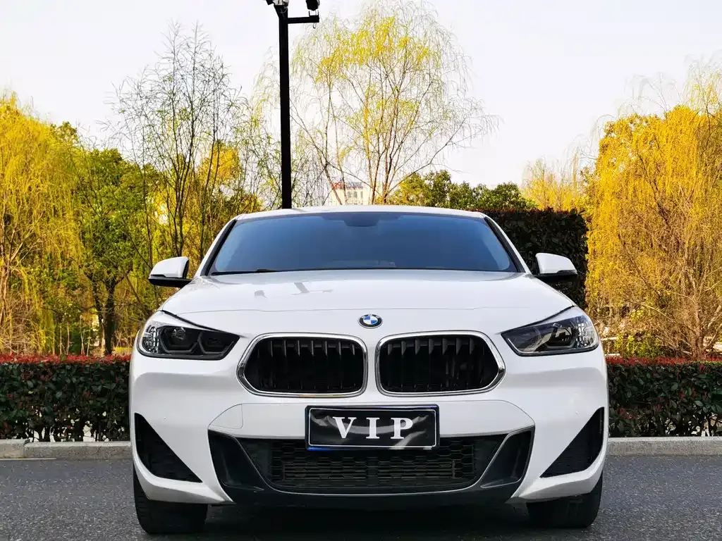 BMW X2 — фото 9