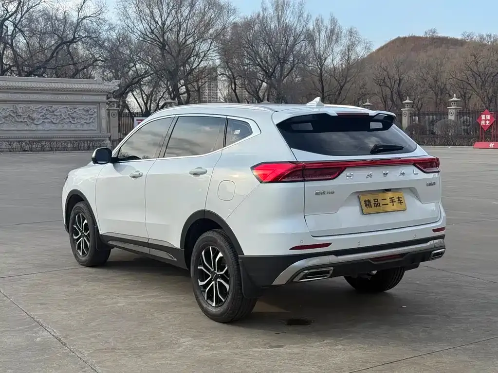 Haval H6 — фото 10