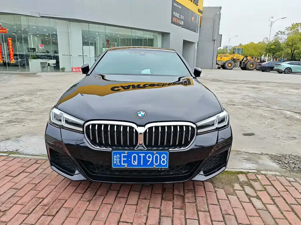 BMW 5 Series 2022 из CN, фото 3