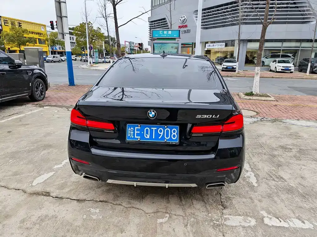 BMW 5 Series 2022 из CN, фото 7