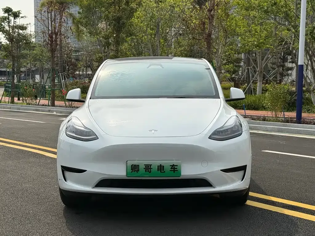Tesla Model Y 2024 из CN, фото 6