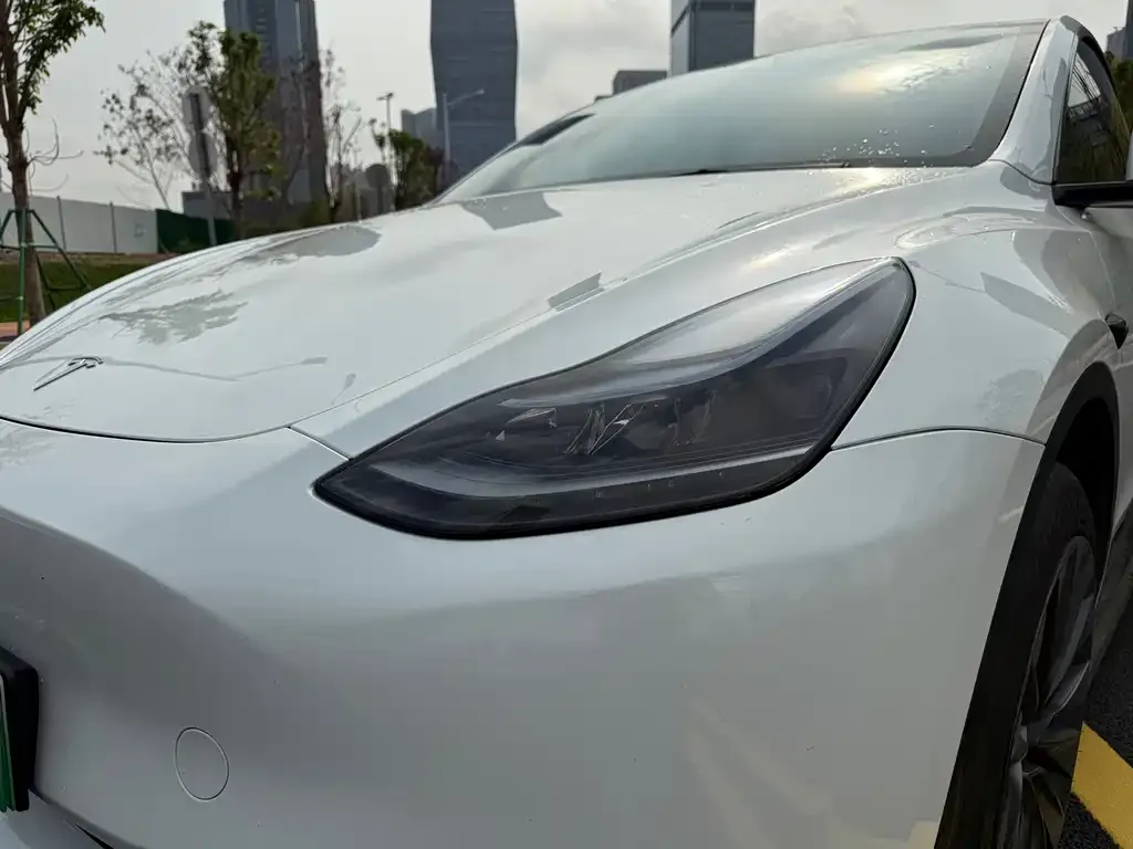 Tesla Model Y 2024 из CN, фото 4