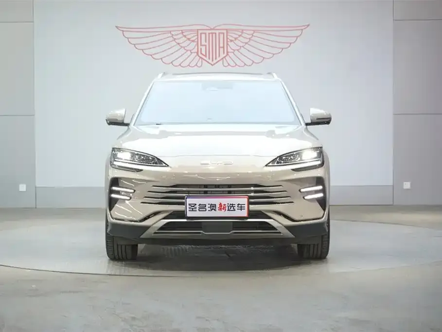 BYD PLUS New Energy — фото 6