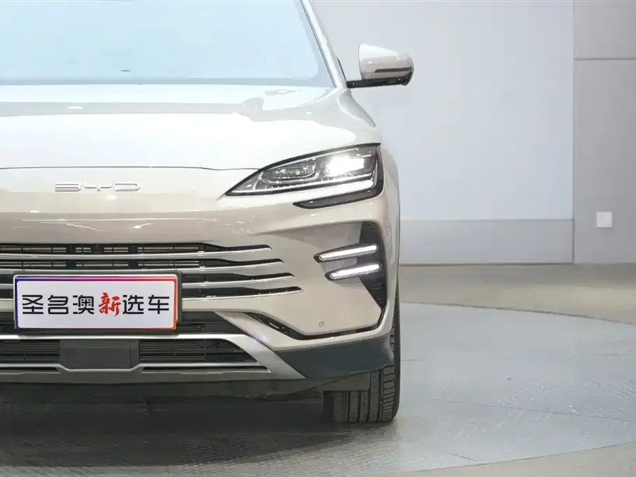 BYD PLUS New Energy — фото 2