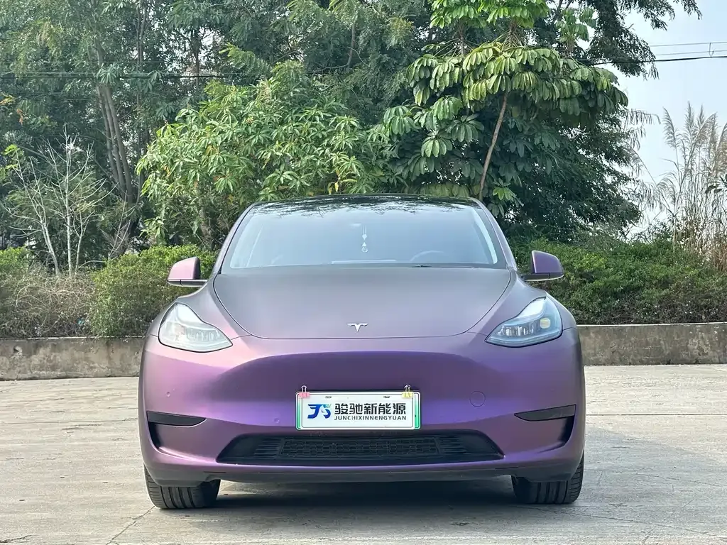 Tesla Model Y — фото 9