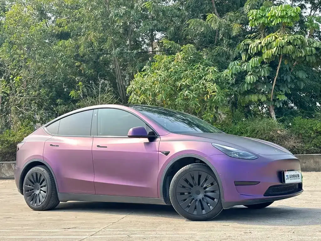 Tesla Model Y — фото 2