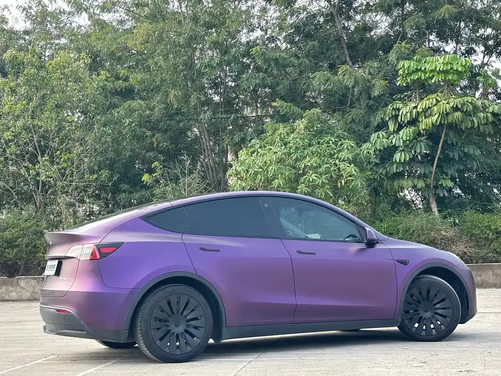 Tesla Model Y — фото 6