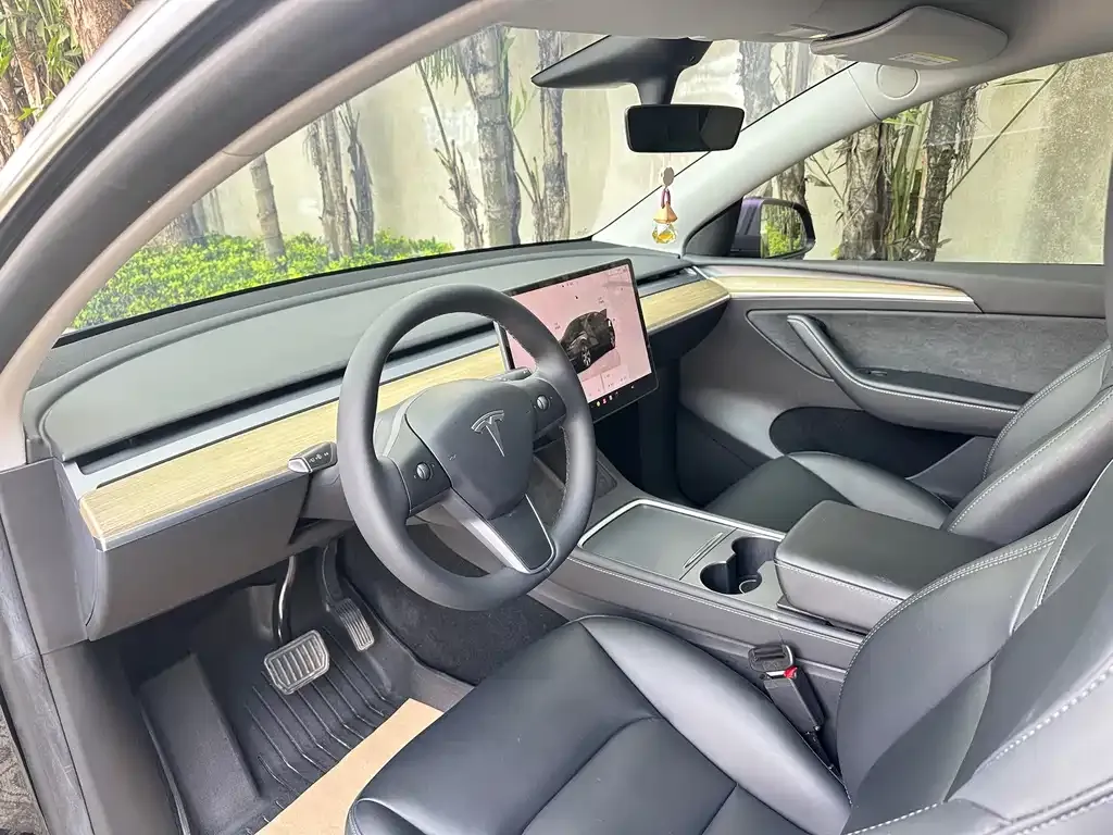 Tesla Model Y — фото 3