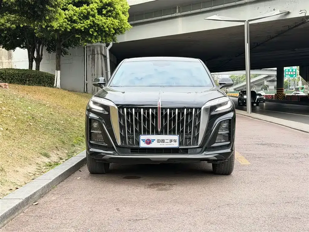 Hongqi HS3 2025 из CN, фото 6