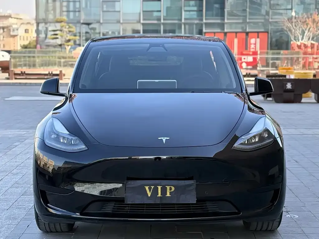 Tesla Model Y — фото 2
