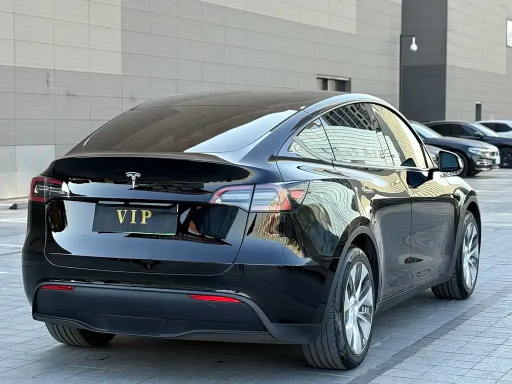 Tesla Model Y — фото 8