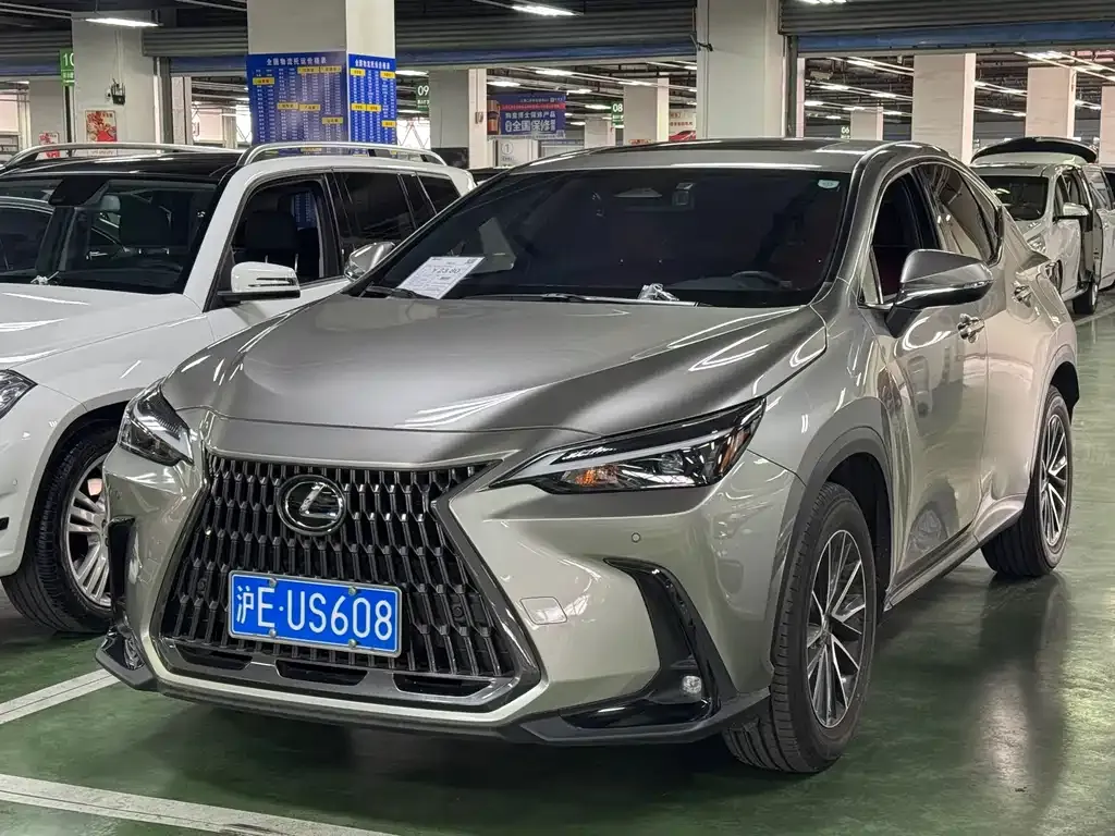 Lexus NX — фото 10