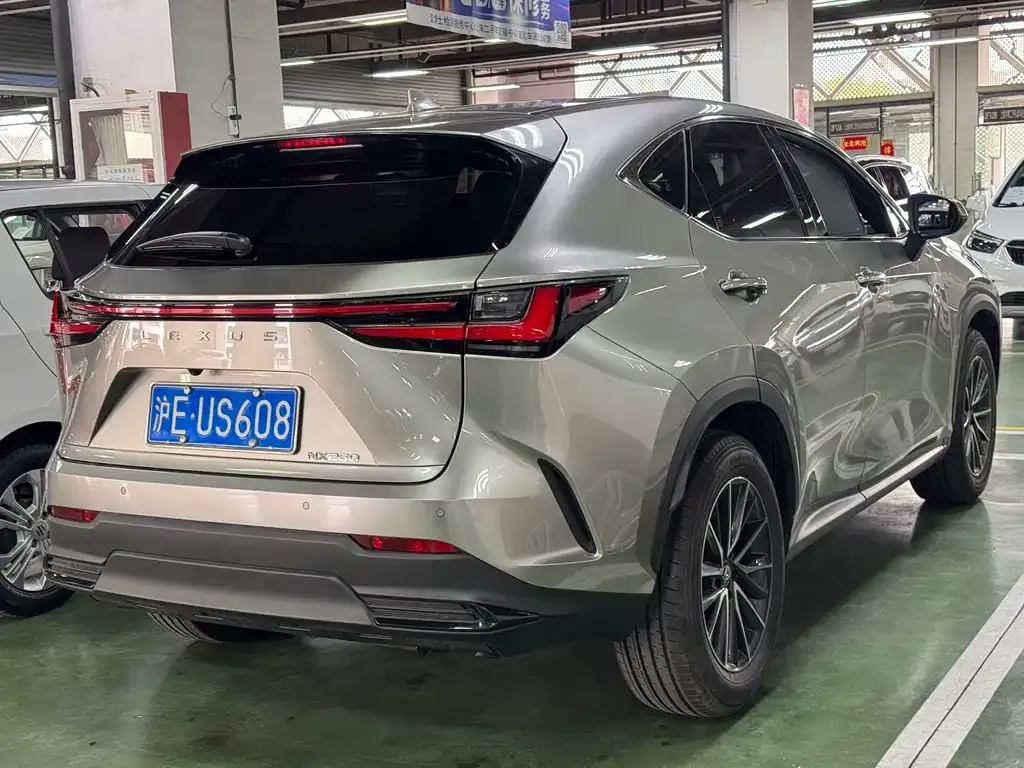 Lexus NX — фото 9