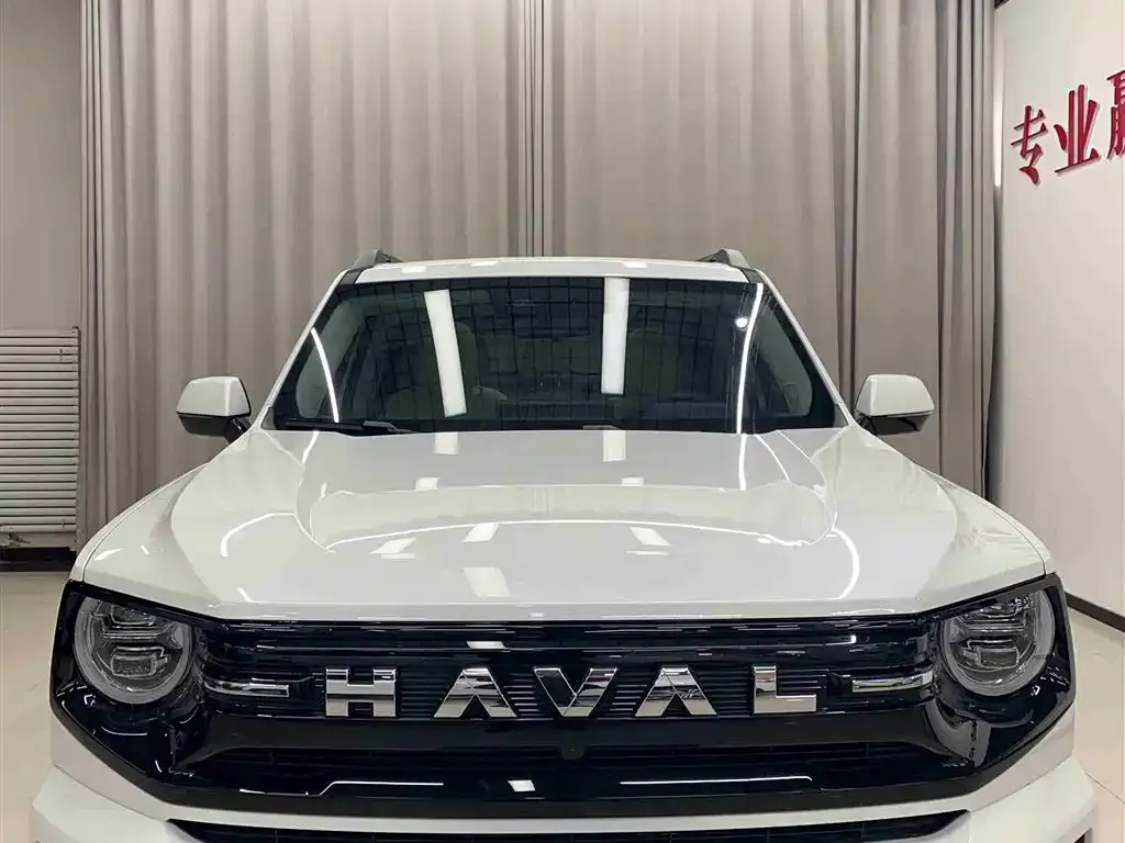 Haval H7 (Big Dog Plus) — фото 6