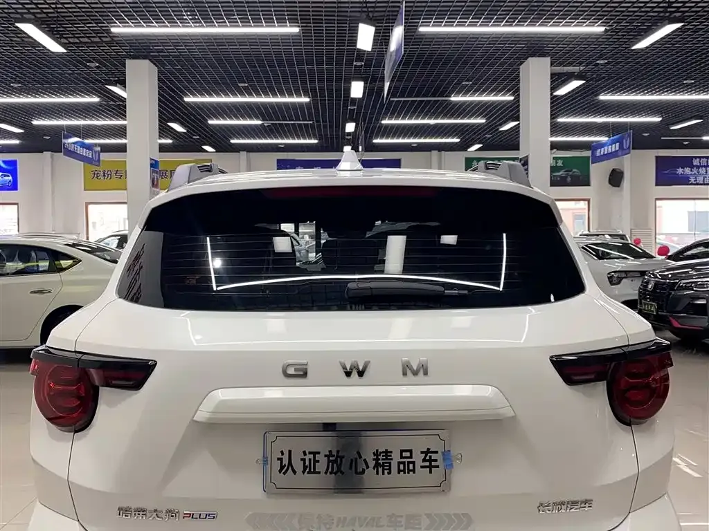 Haval H7 (Big Dog Plus) — фото 8