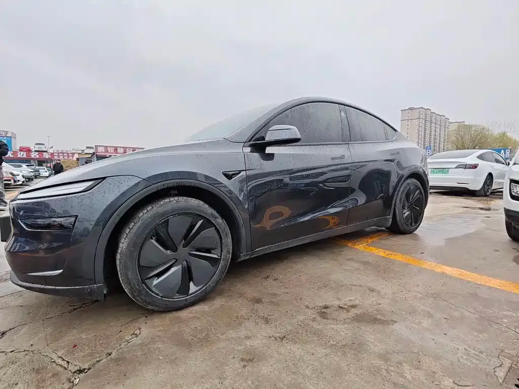 Tesla Model Y — фото 10