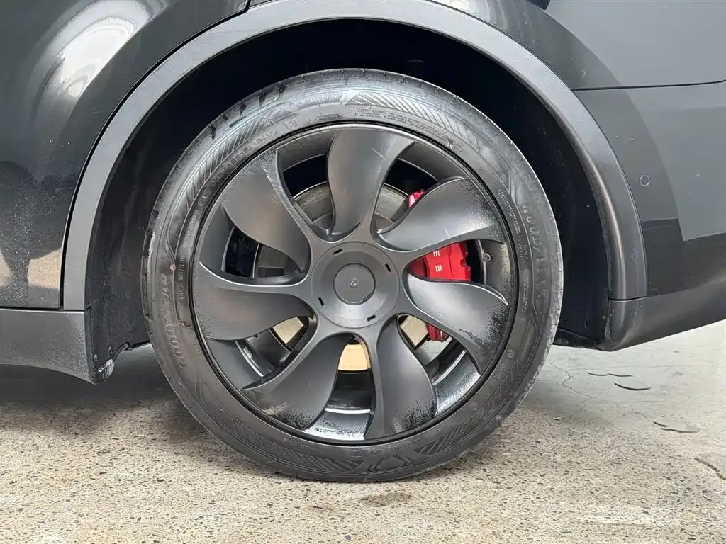 Tesla Model Y — фото 9