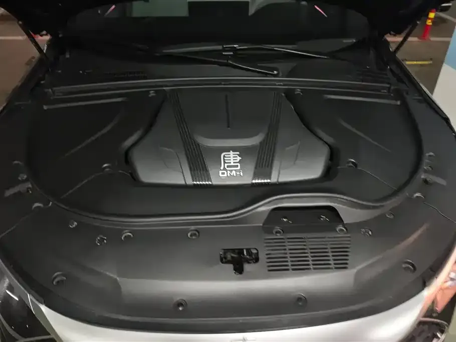 BYD Tang New Energy 2025 из CN, фото 6