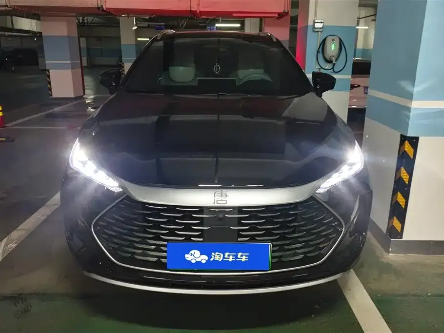 BYD Tang New Energy 2025 из CN, фото 2