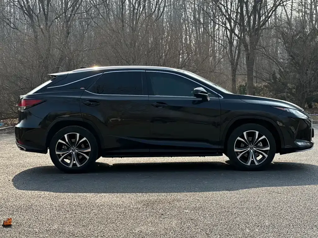 Lexus RX 2022 из CN, фото 9
