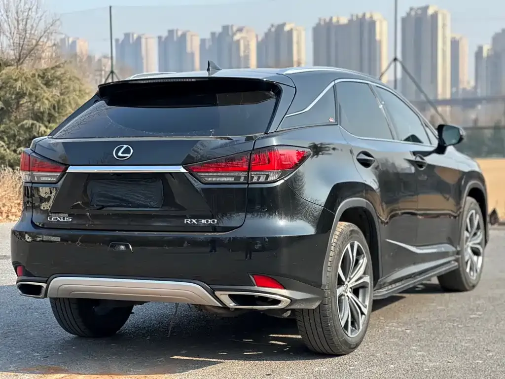 Lexus RX 2022 из CN, фото 5