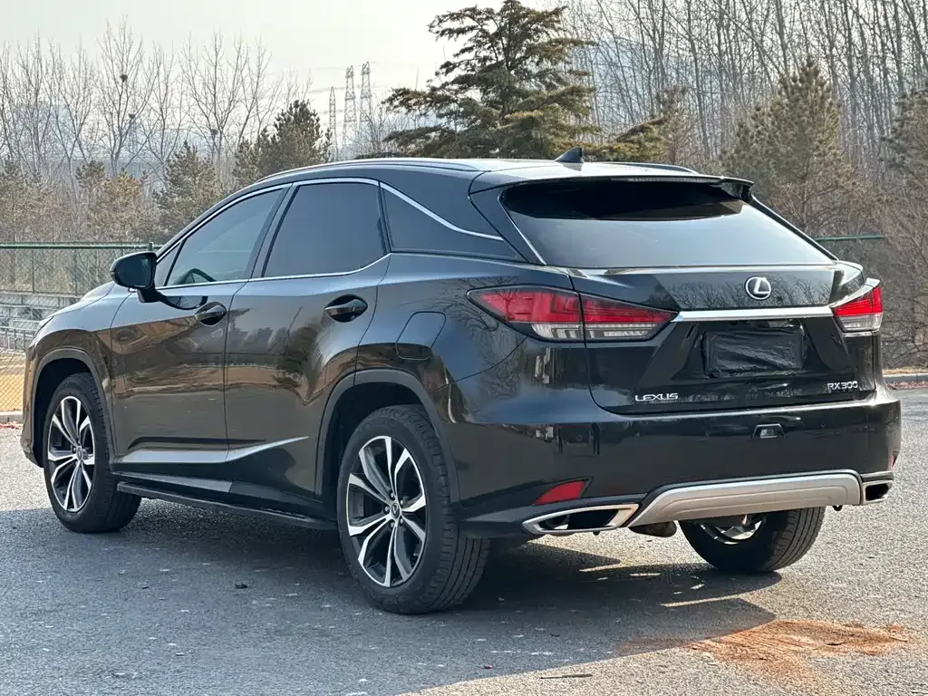 Lexus RX 2022 из CN, фото 8