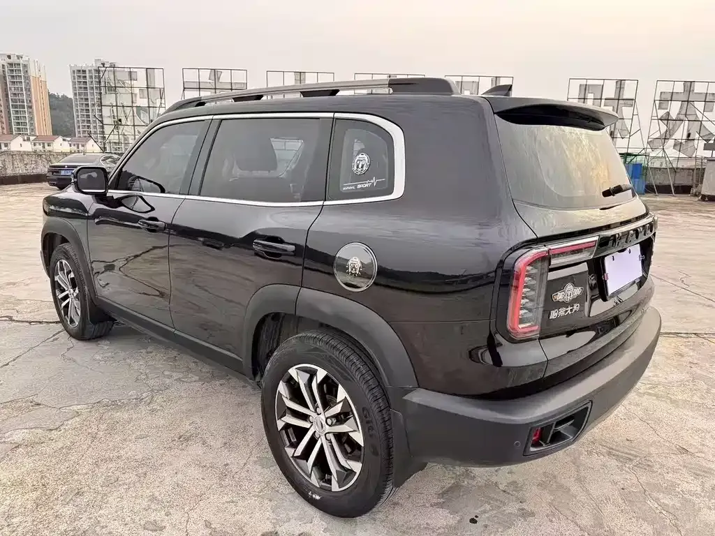 Haval Big Dog 2023 из CN, фото 5
