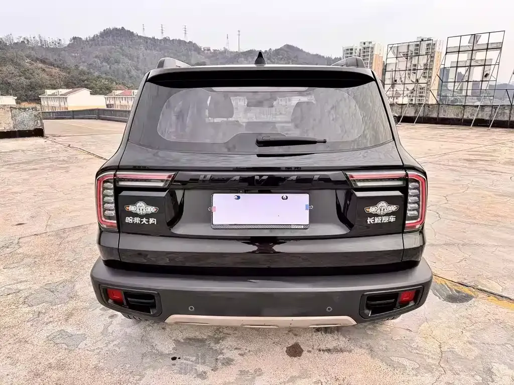 Haval Big Dog 2023 из CN, фото 8