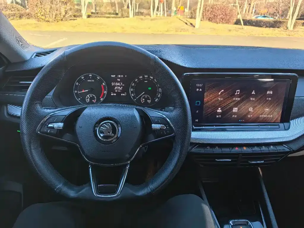 Skoda Octavia 2021 из CN, фото 3