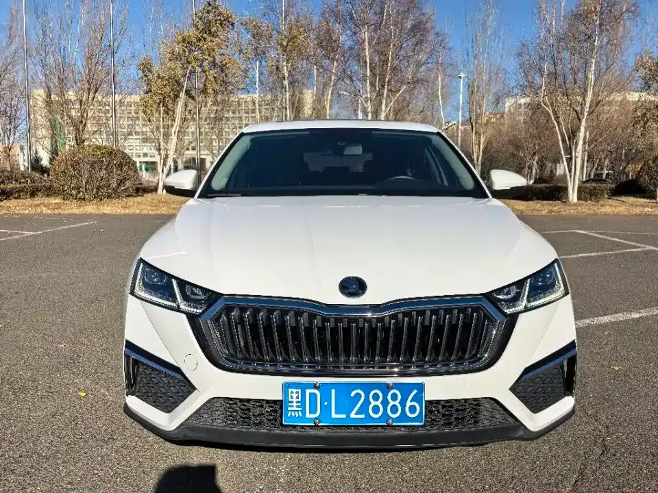 Skoda Octavia 2021 из CN, фото 8