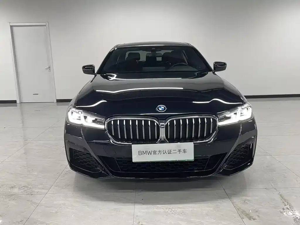 BMW 5 Series New Energy — фото 6