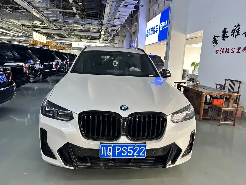 BMW X3 2024 из CN, фото 9