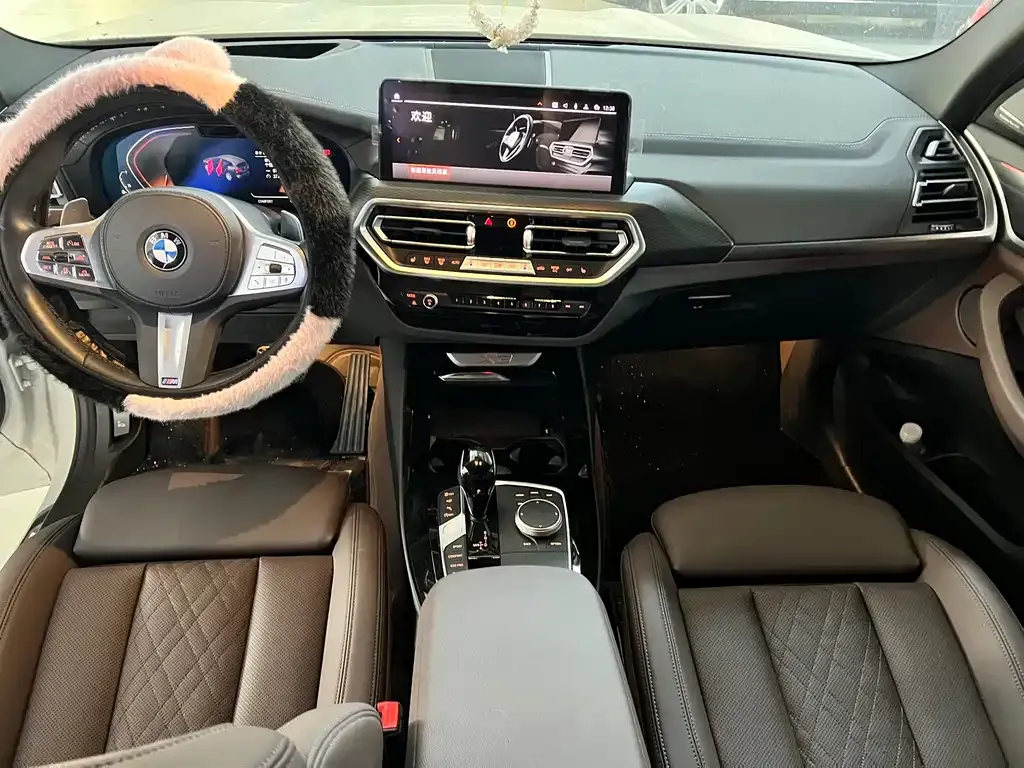 BMW X3 2024 из CN, фото 6