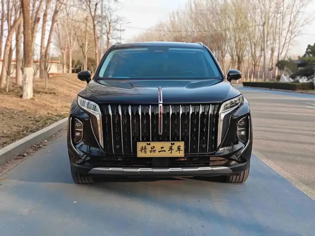 Hongqi HS7 PHEV 2024 из CN, фото 2