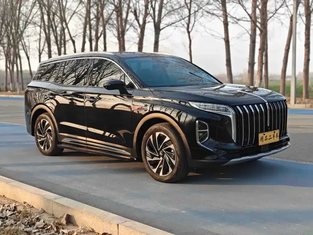 Hongqi HS7 PHEV 2024 из CN, фото 5
