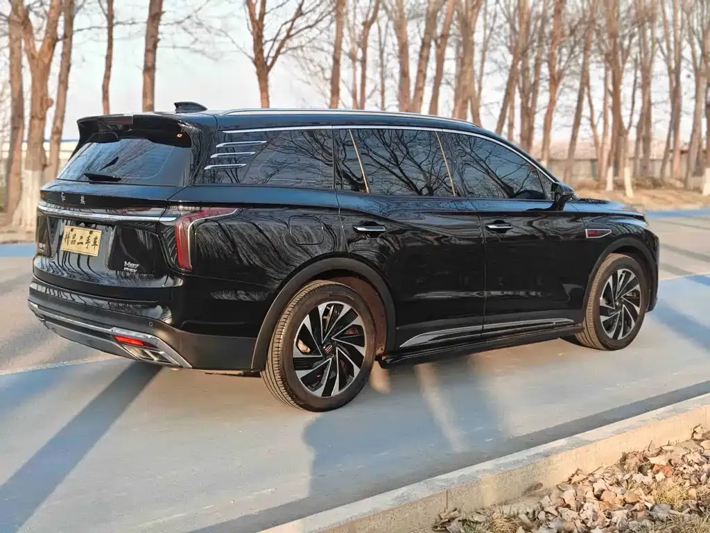 Hongqi HS7 PHEV 2024 из CN, фото 4