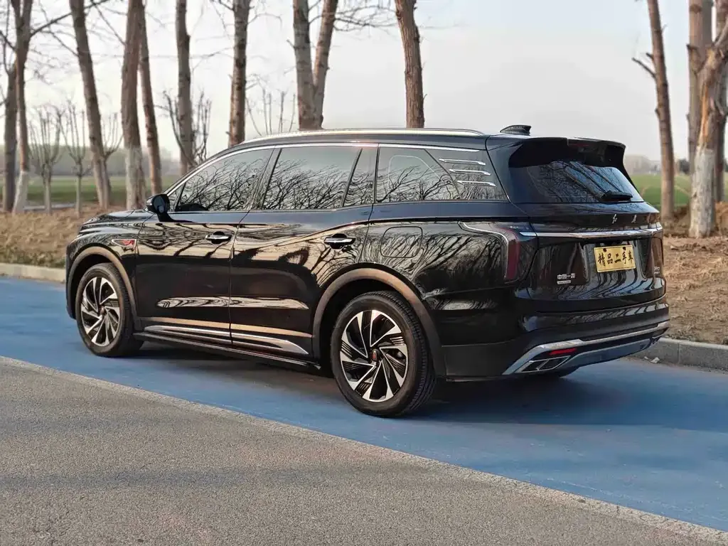Hongqi HS7 PHEV 2024 из CN, фото 10