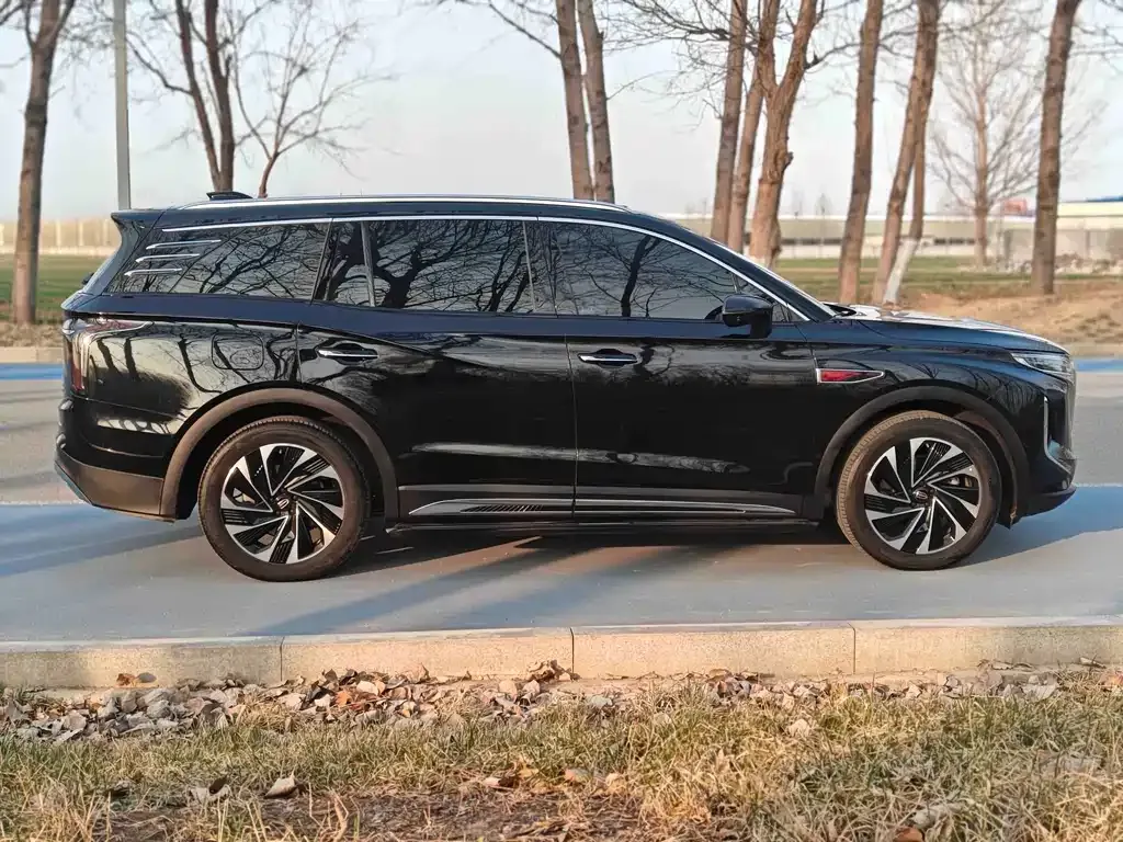 Hongqi HS7 PHEV 2024 из CN, фото 9