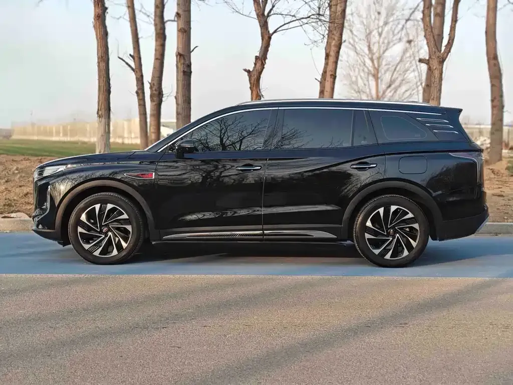 Hongqi HS7 PHEV 2024 из CN, фото 7