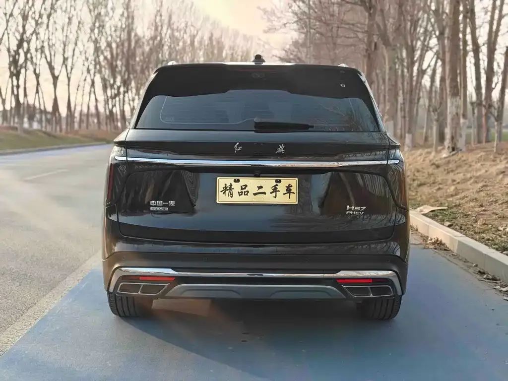 Hongqi HS7 PHEV 2024 из CN, фото 3