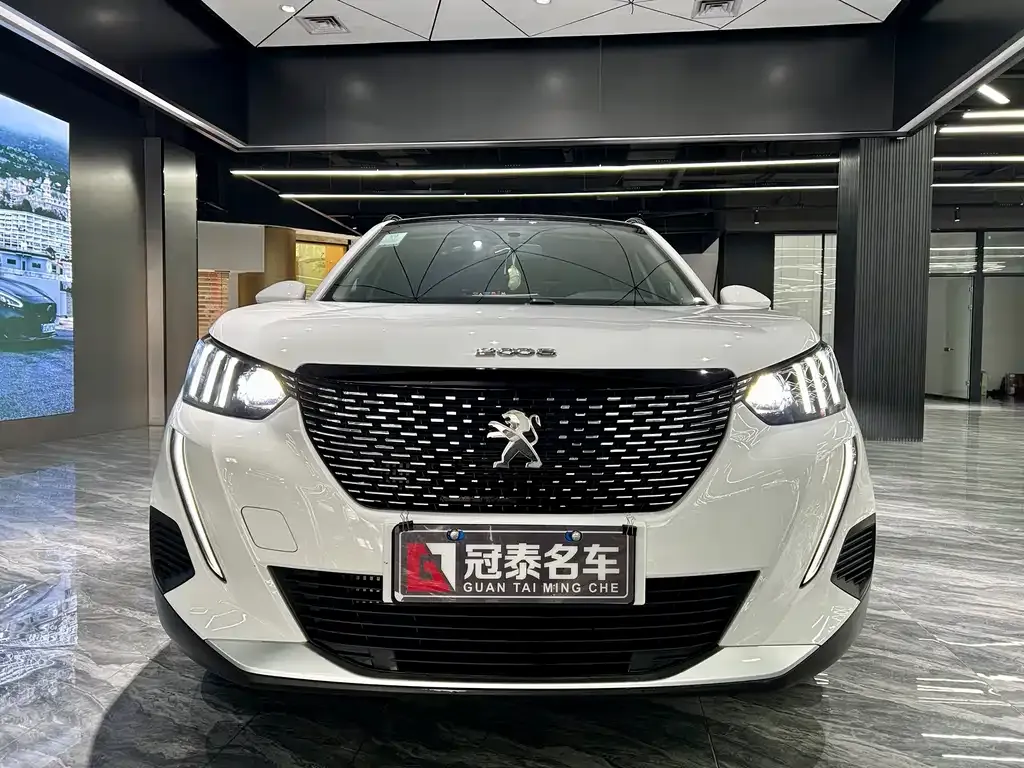 Peugeot 2008 2024 из CN, фото 8