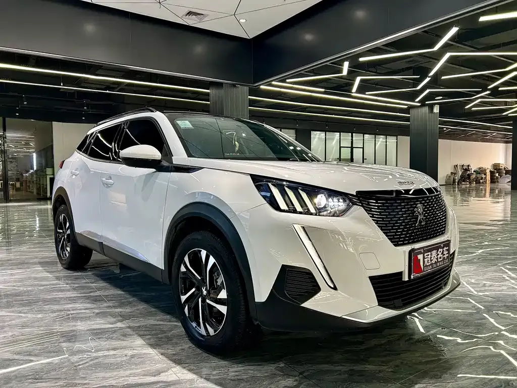 Peugeot 2008 2024 из CN, фото 5