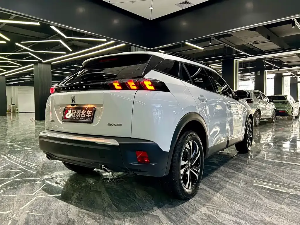 Peugeot 2008 2024 из CN, фото 10