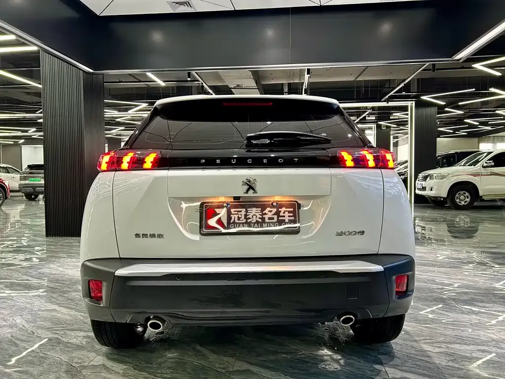 Peugeot 2008 2024 из CN, фото 6