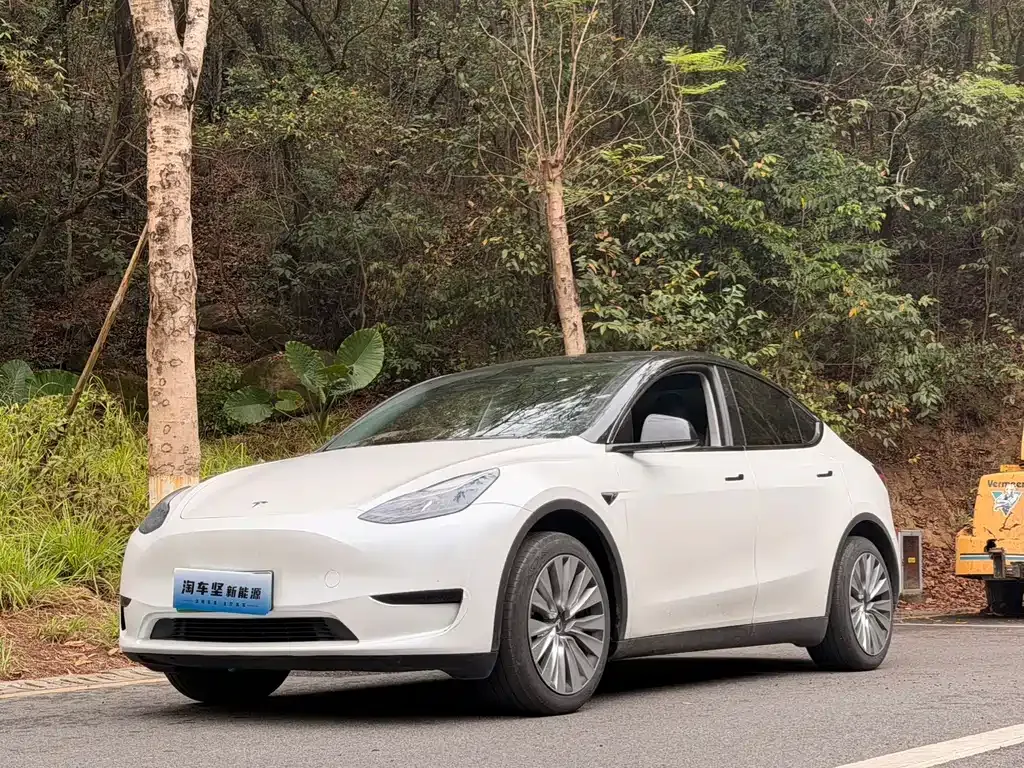 Tesla Model Y 2024 из CN, фото 1