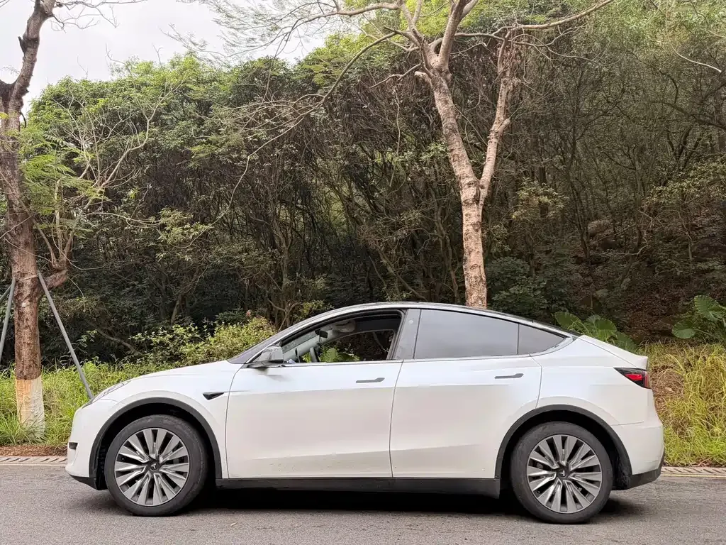 Tesla Model Y 2024 из CN, фото 3