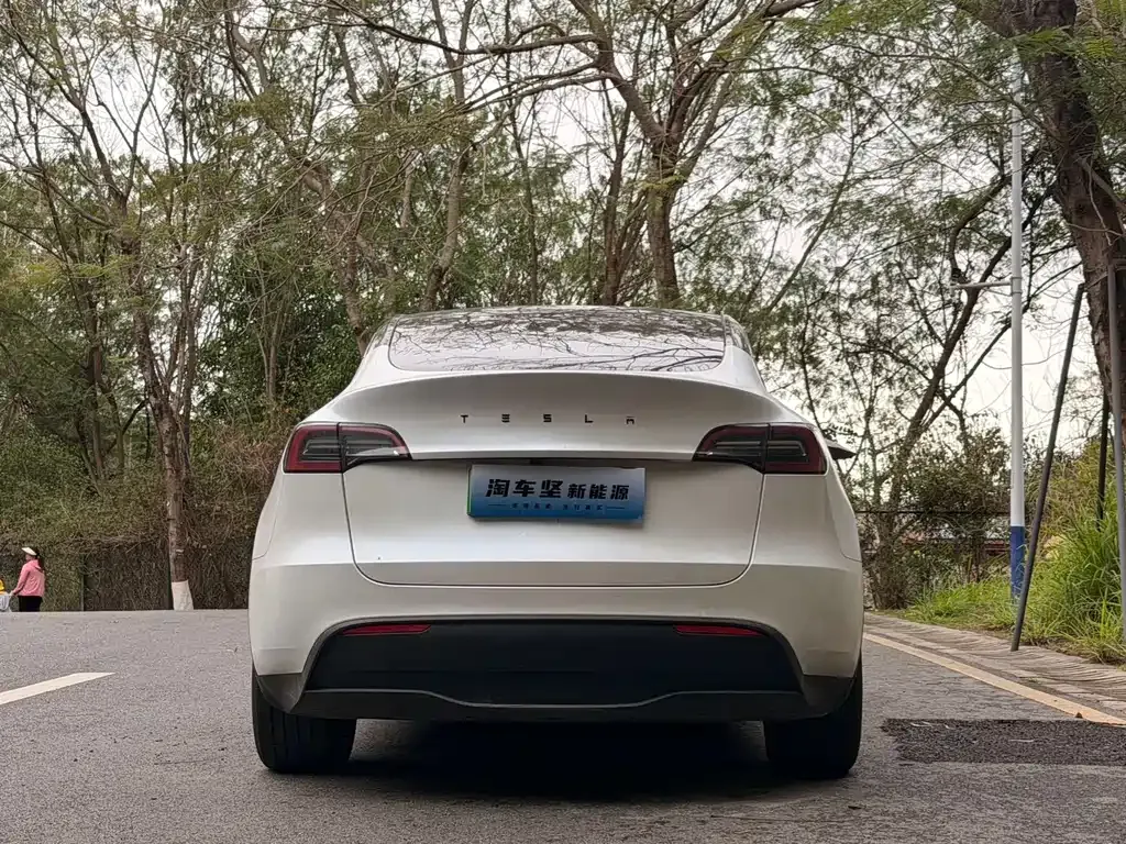 Tesla Model Y 2024 из CN, фото 6