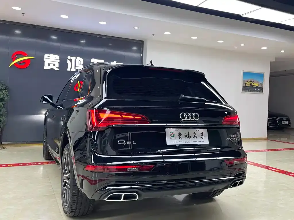 Audi Q5L 2025 из CN, фото 9