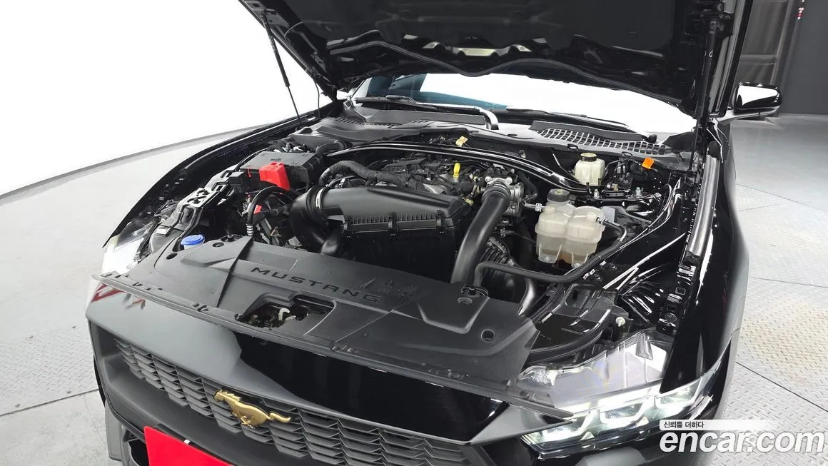 Ford Mustang 2024 из KR, фото 7